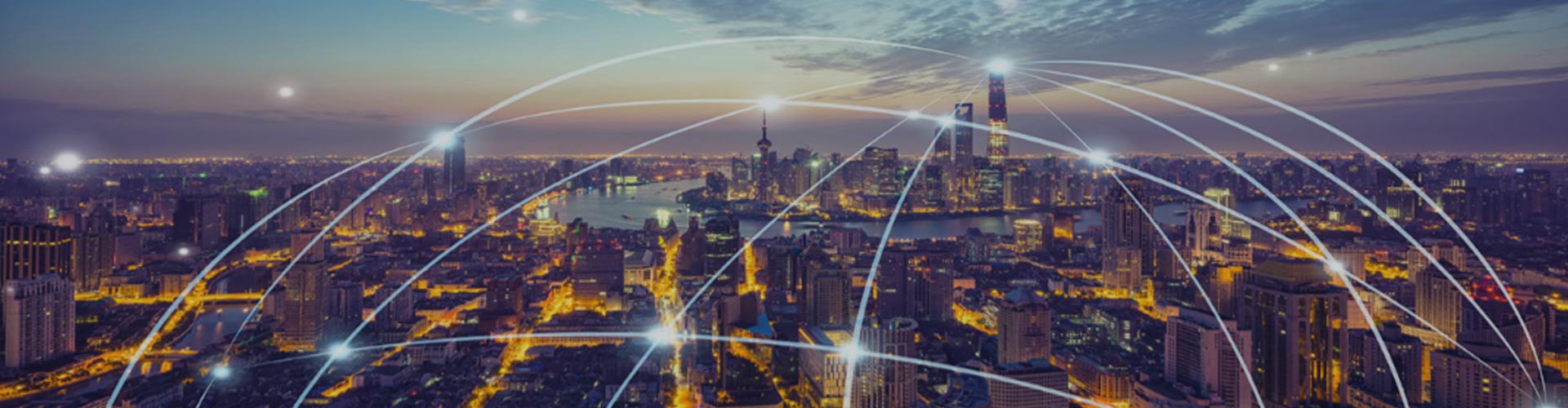 Total System Integrator